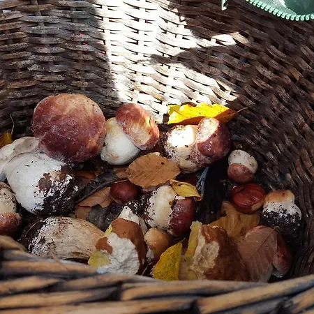 La Castagna Matta * Albareto (Parma)