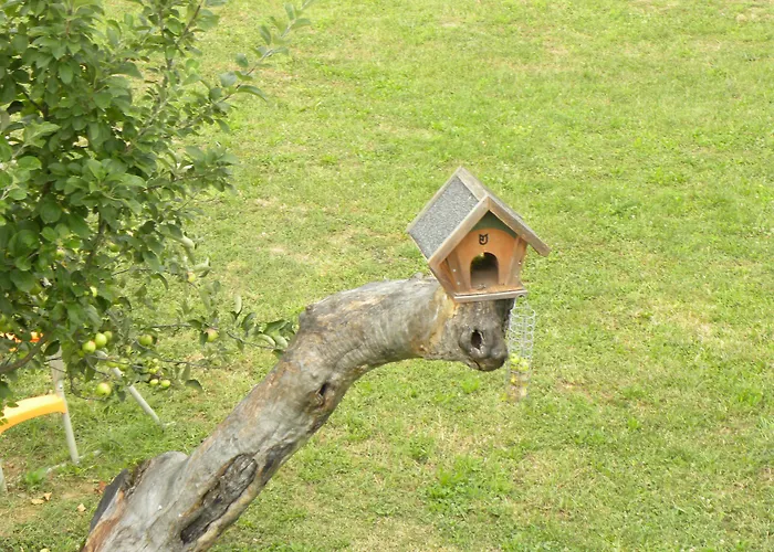 La Castagna Matta 3*