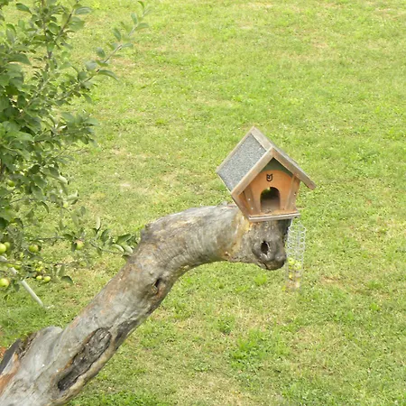 La Castagna Matta 3*