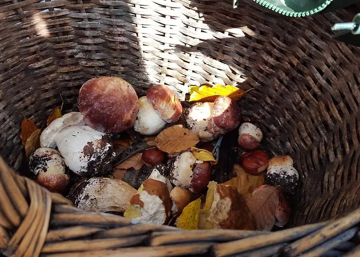 La Castagna Matta 3* Albareto (Parma)